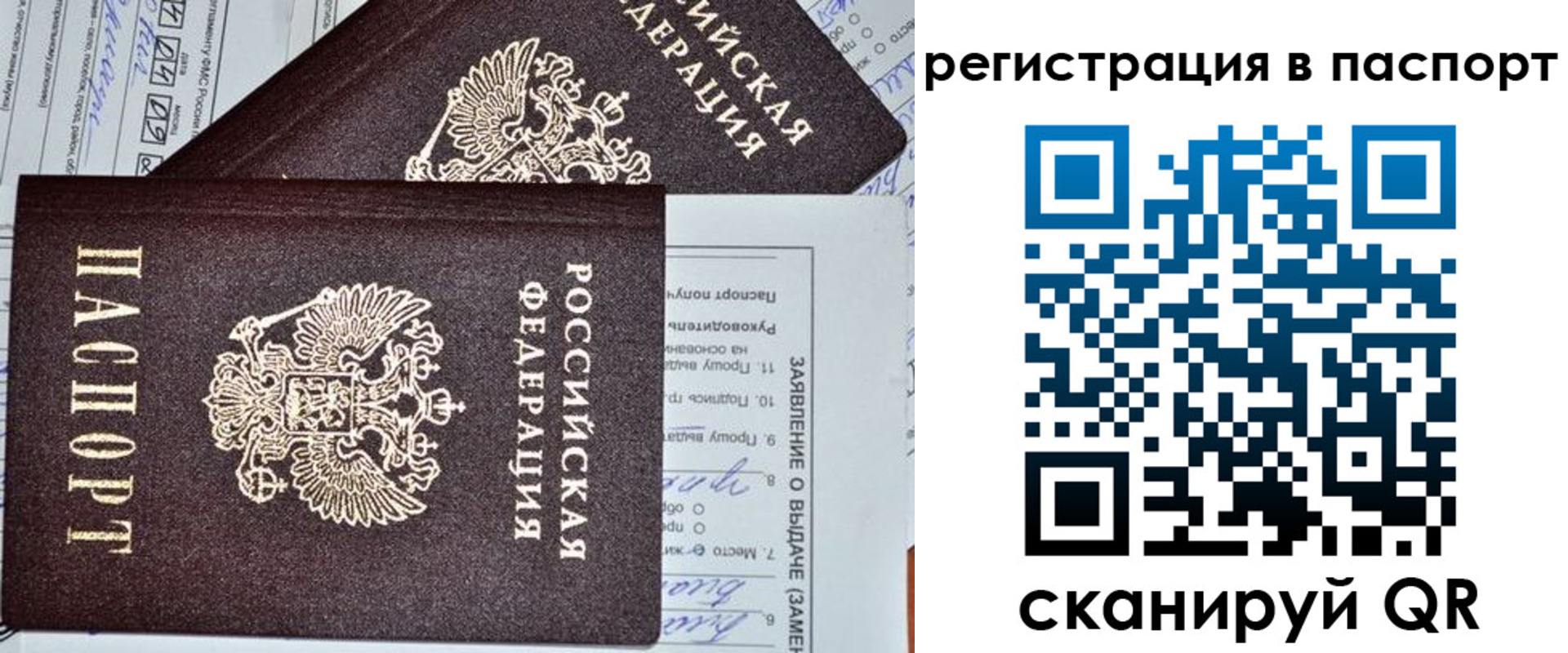 прописка законно в Заринске